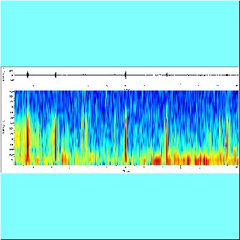 Pseudoplatystoma punctifer_fasciatum_spectrogram.png